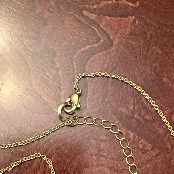 Ann Taylor Gold Lariat Necklace - Picture 5 of 5